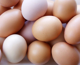 Eggs