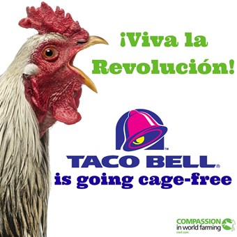 taco bell cage free.jpg