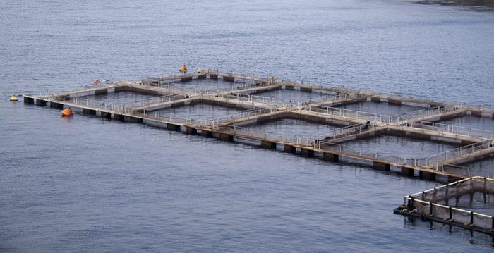 A fish farm.