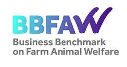 bbfaw logo