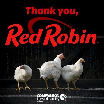 Red robin thank you.jpg