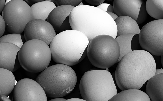 2. EGGTRACK