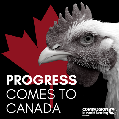 Sodexo Canada Announcement Share Square.png