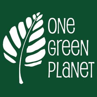 one green planet logo.png
