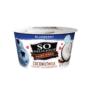 blueberry-yogurt.png