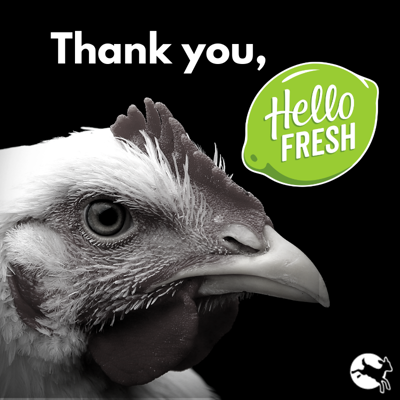 HelloFresh Graphic.png