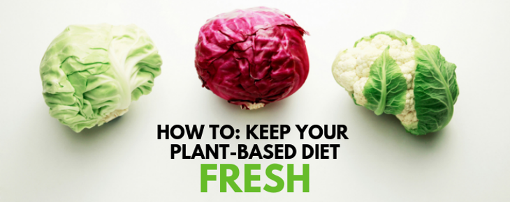 Keep Your Diet Fresh Header.png
