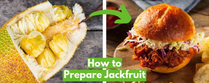 How To Jackfruit Resource Slide