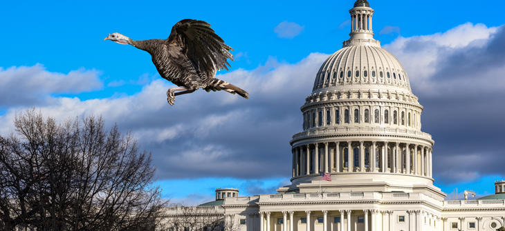 Turkey flying over U.S. Capitol building