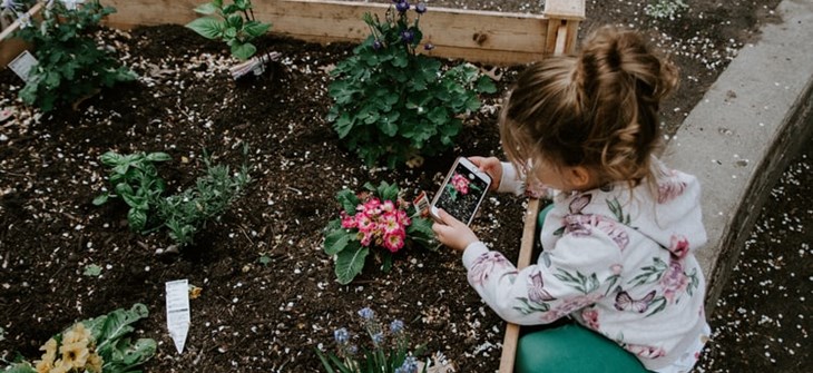 Small child sits in garden in white floral jacket kneeling in garden taking a picture of a pink flower on a smart phone.