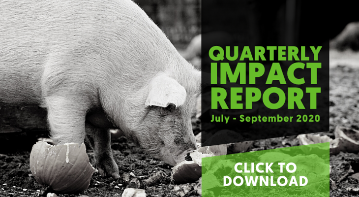 Q3 2020 Impact Report Landing Page Graphic