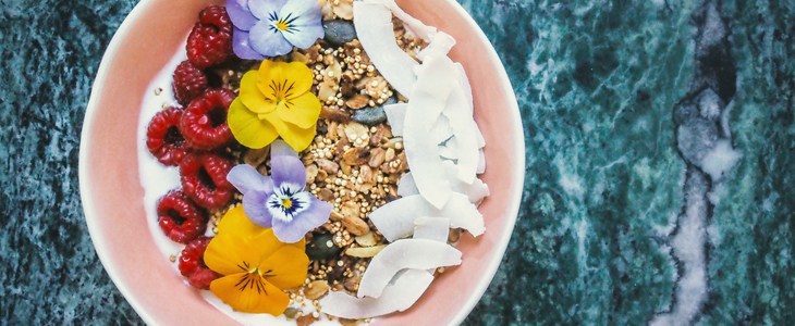 picture perfect bowl of oats