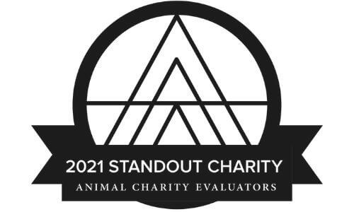 2021 Standout Charity Logo