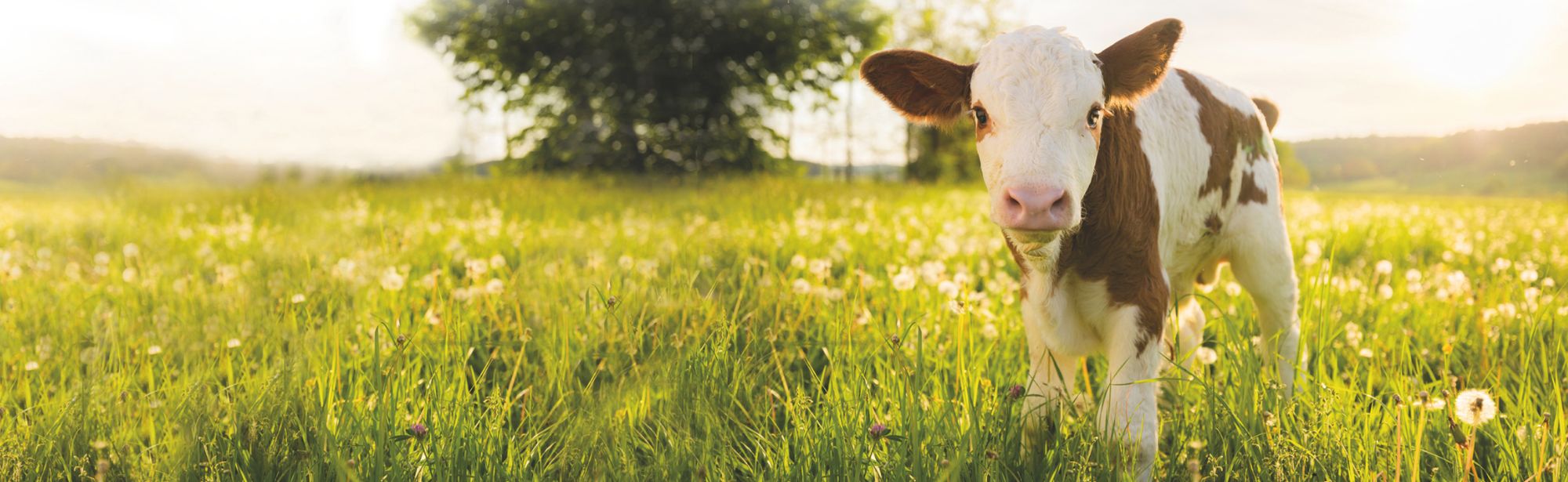 Your 2024 Global Impact Report