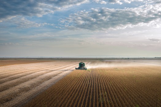 Aerial view of soy field being harvested