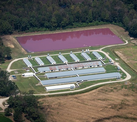 Aerial view of a factory farm with a manure lagoon.