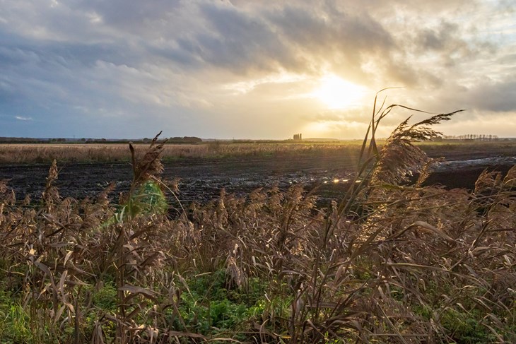 Landscape farmland