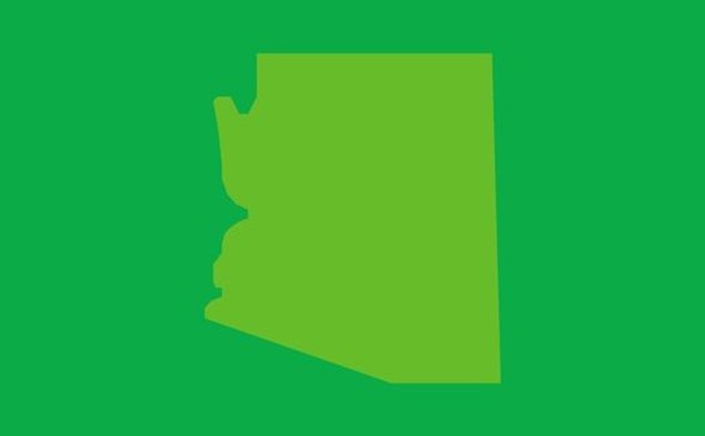 1. ARIZONA