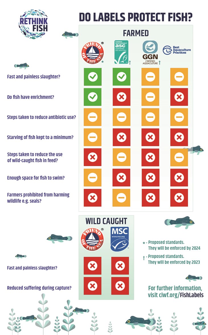 A table about fish welfare certifications