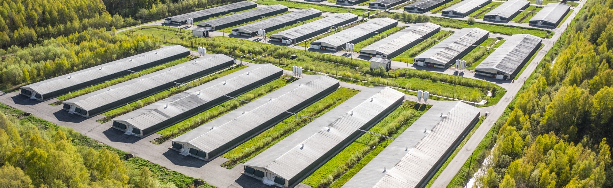 Animal Agriculture's Greenhouse Gas Emissions Explained