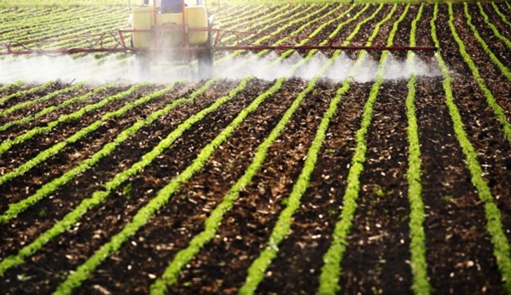 Tractor spraying pesticides on row crops