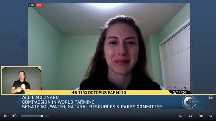 Screenshot of Allie Molinaro testifying remotely during hearing