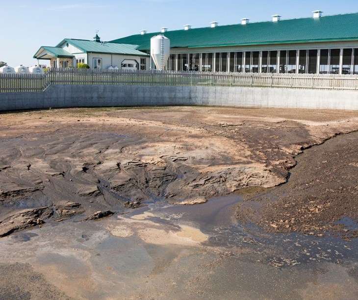 An up-close view of a waste lagoon with a dairy farm behind it.