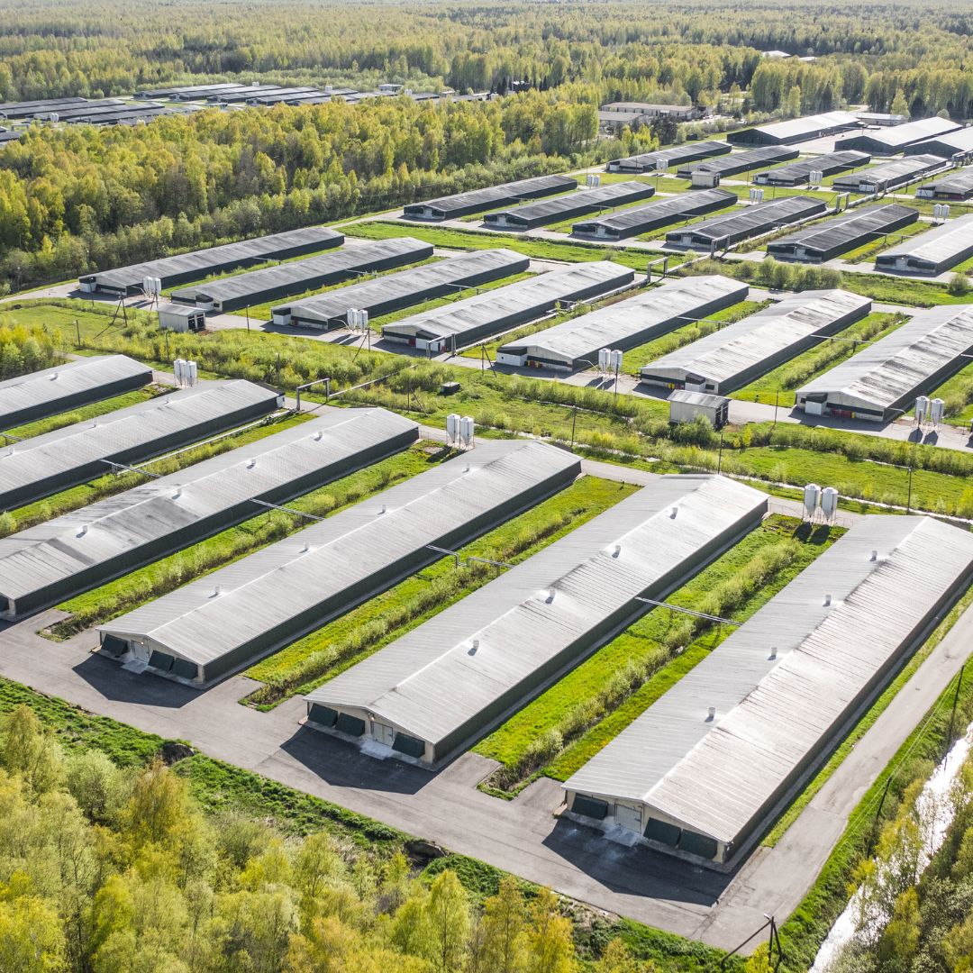 HUMAN FACES: Jessie Jarmon, North Carolina