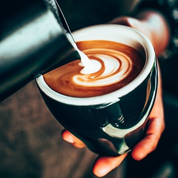 3. BREWING SUSTAINABILITY AND EQUALITY: STIRRING UP COFFEE SHOP SUCCESS WITH DAIRY ALTERNATIVES