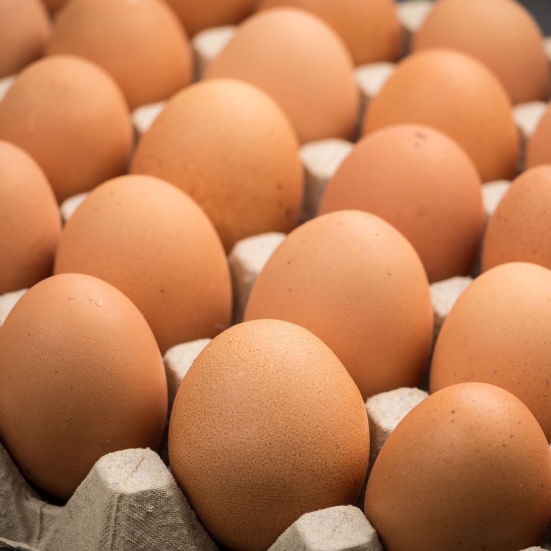 Tennessee expands access to higher welfare eggs for