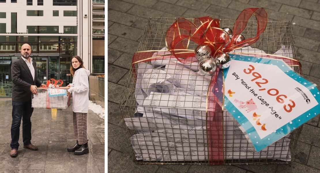 A small cage filled with papers and tied with a red ribbon and sender tag.