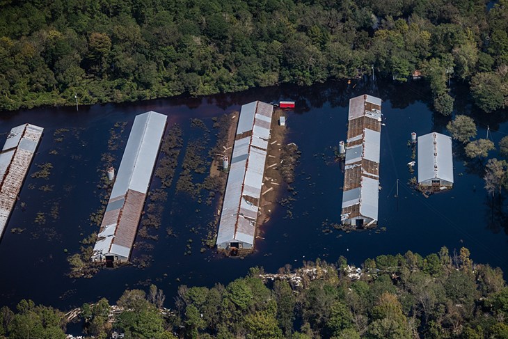Aerial view of a CAFO farm surrounded by flood waters in Duplin County. Duplin County, North Carolina, USA, 2018.