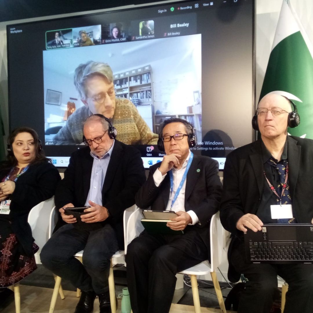 Championing food systems transformation at COP29